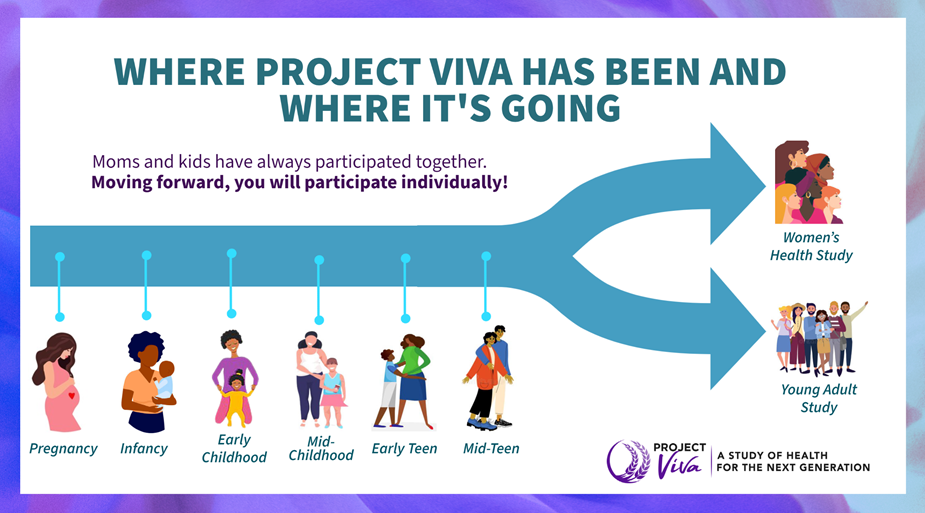 Project Viva Questionnaire Timeline